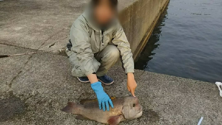 モンスターハンター釣行